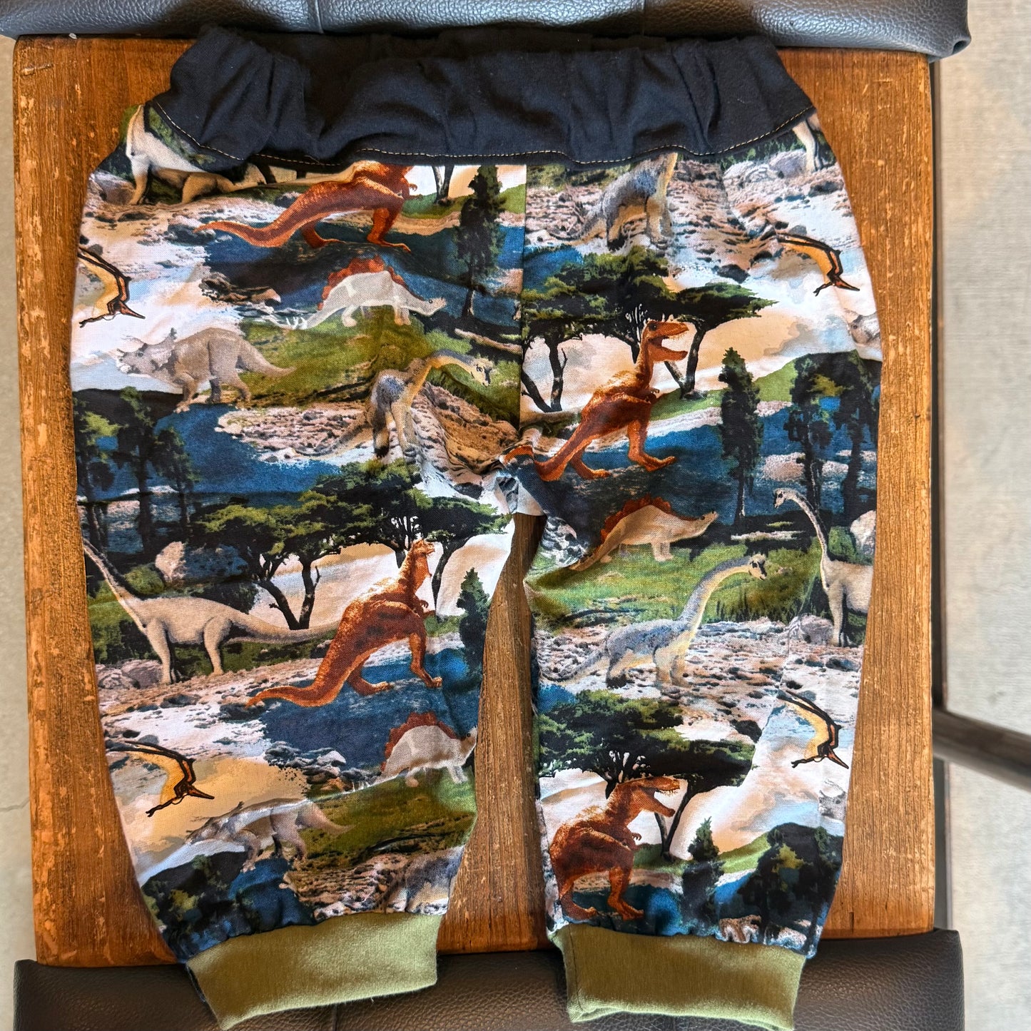 Dino Pants